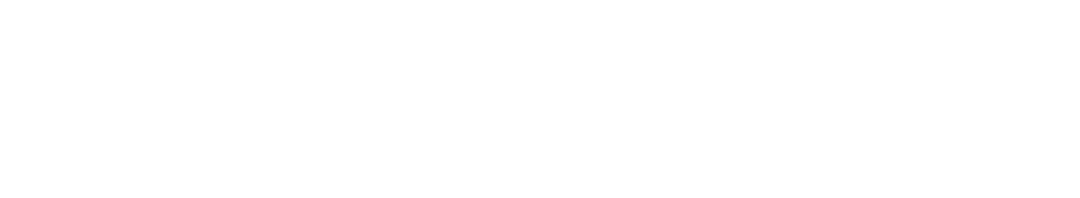Nieuwstraat1-Logo-Website-white-transparent Nieuwstraat1
